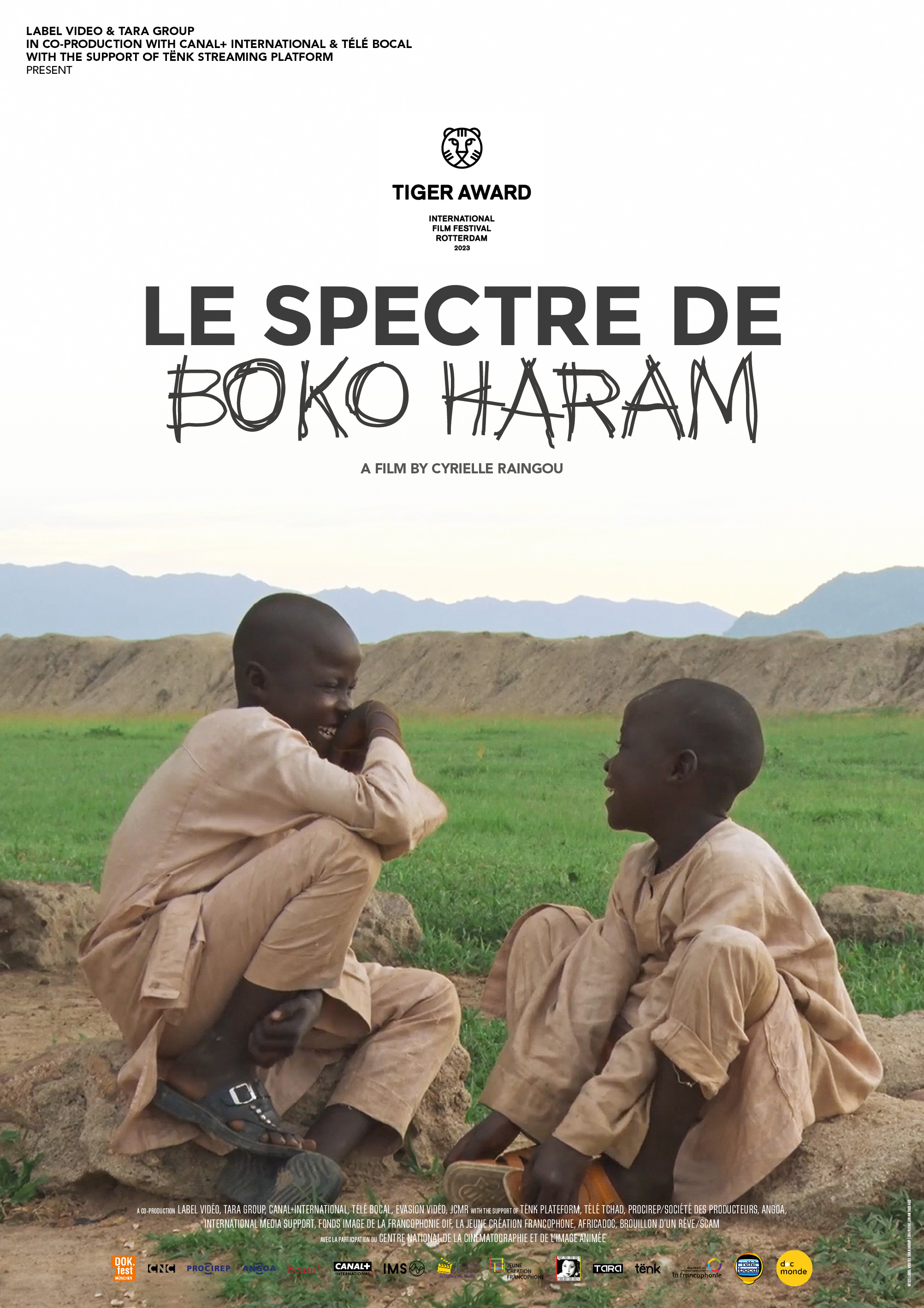 THE SPECTRE OF BOKO HARAM