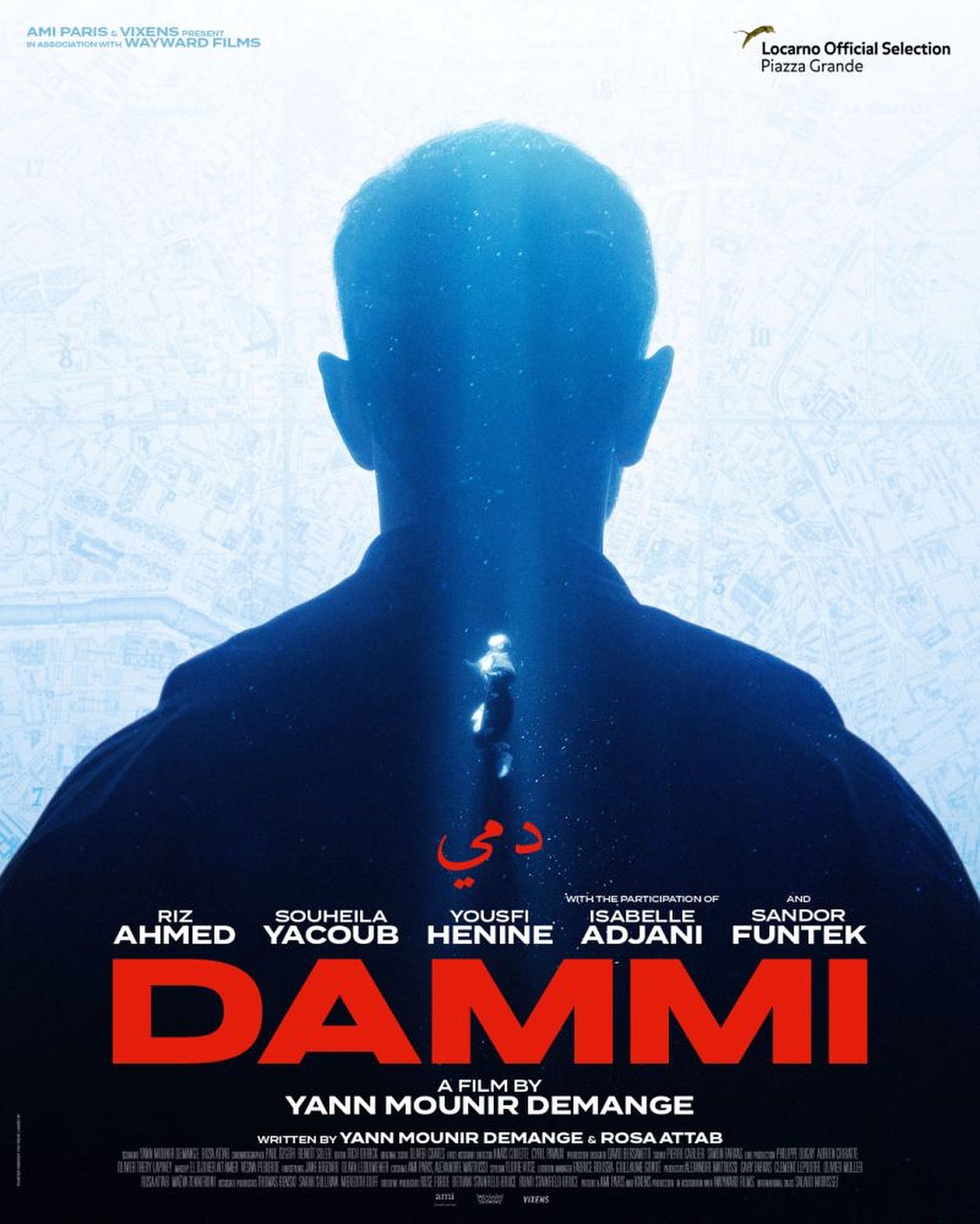 DAMMI