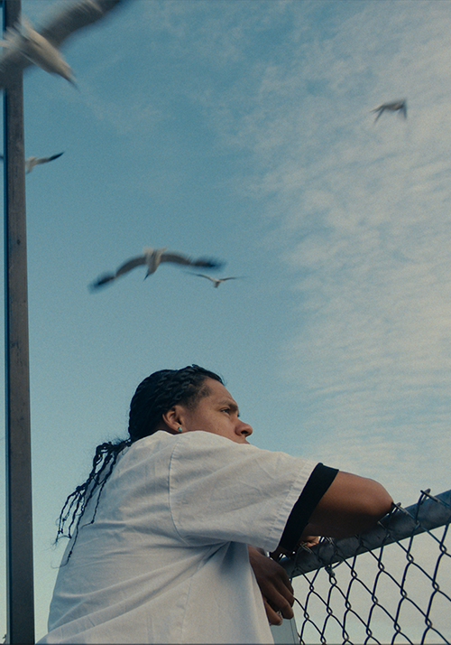 Mad Bills to Pay (or Destiny, dile que no soy malo)