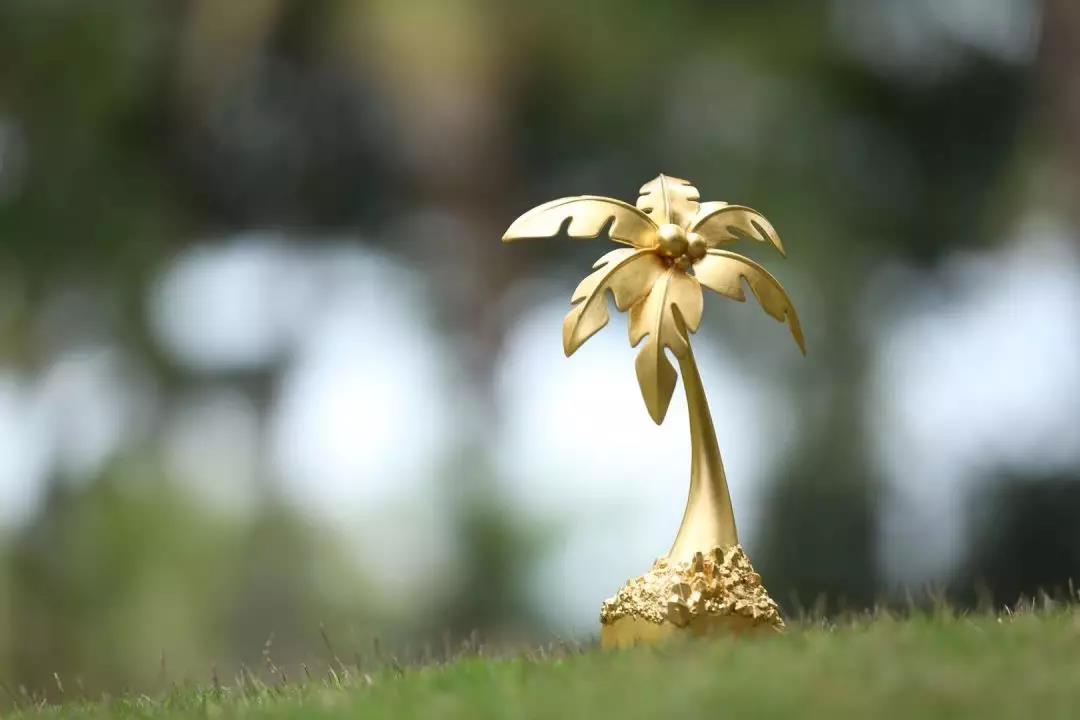 The 5th Hainan Island International Film Festival Global Film Collection Announcement