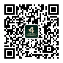 第五届海南岛国际电影节启动全球征片 插图
