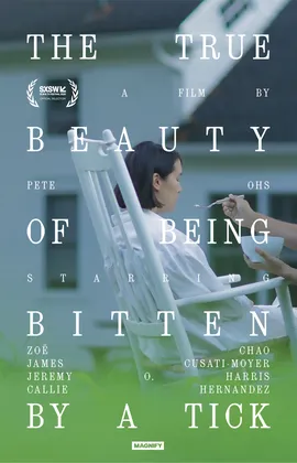 Poster for The True Beauty of Being Bitten by a Tick