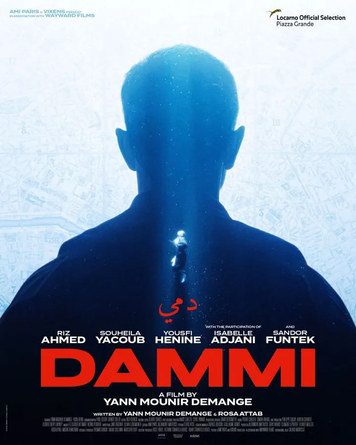 Poster of DAMMI