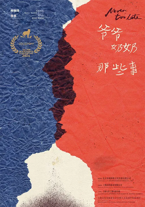 Poster of Never Too Late