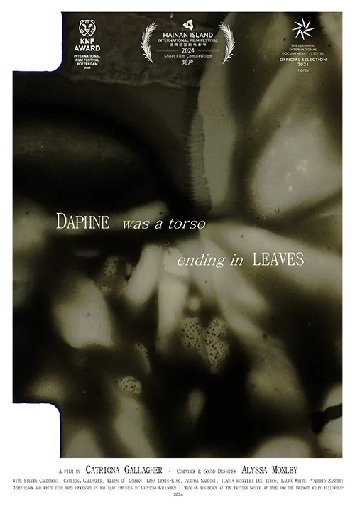 Poster of Daphne Was A Torso Ending in Leaves
