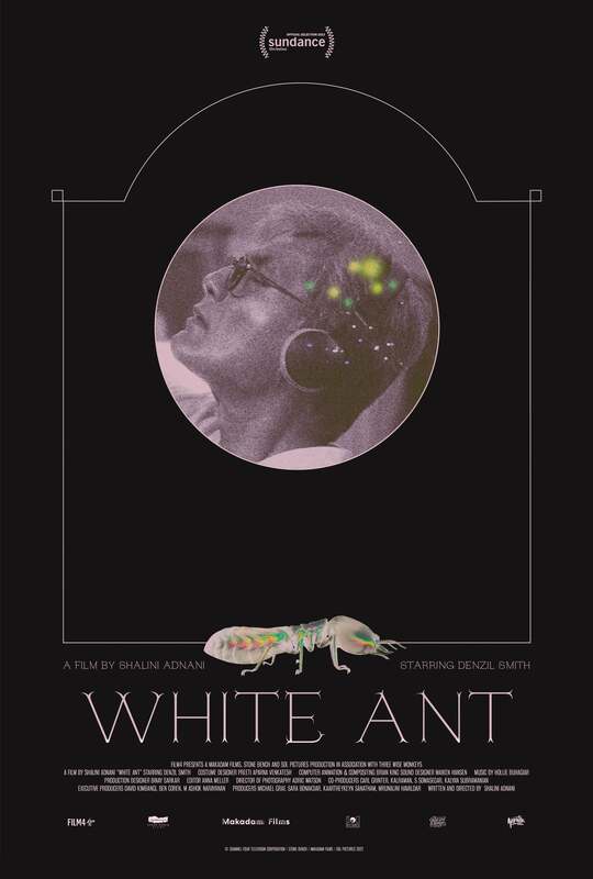 WHITE ANT